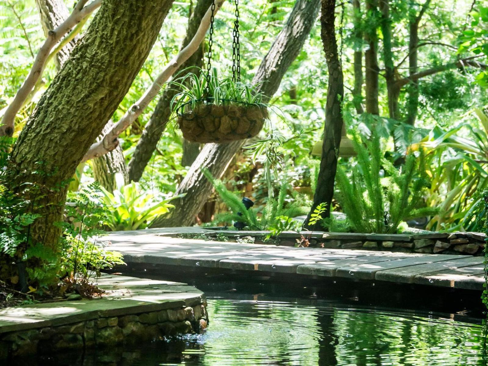 Wonderland Boutique Guesthouse & Spa Hout Bay Bagian luar foto